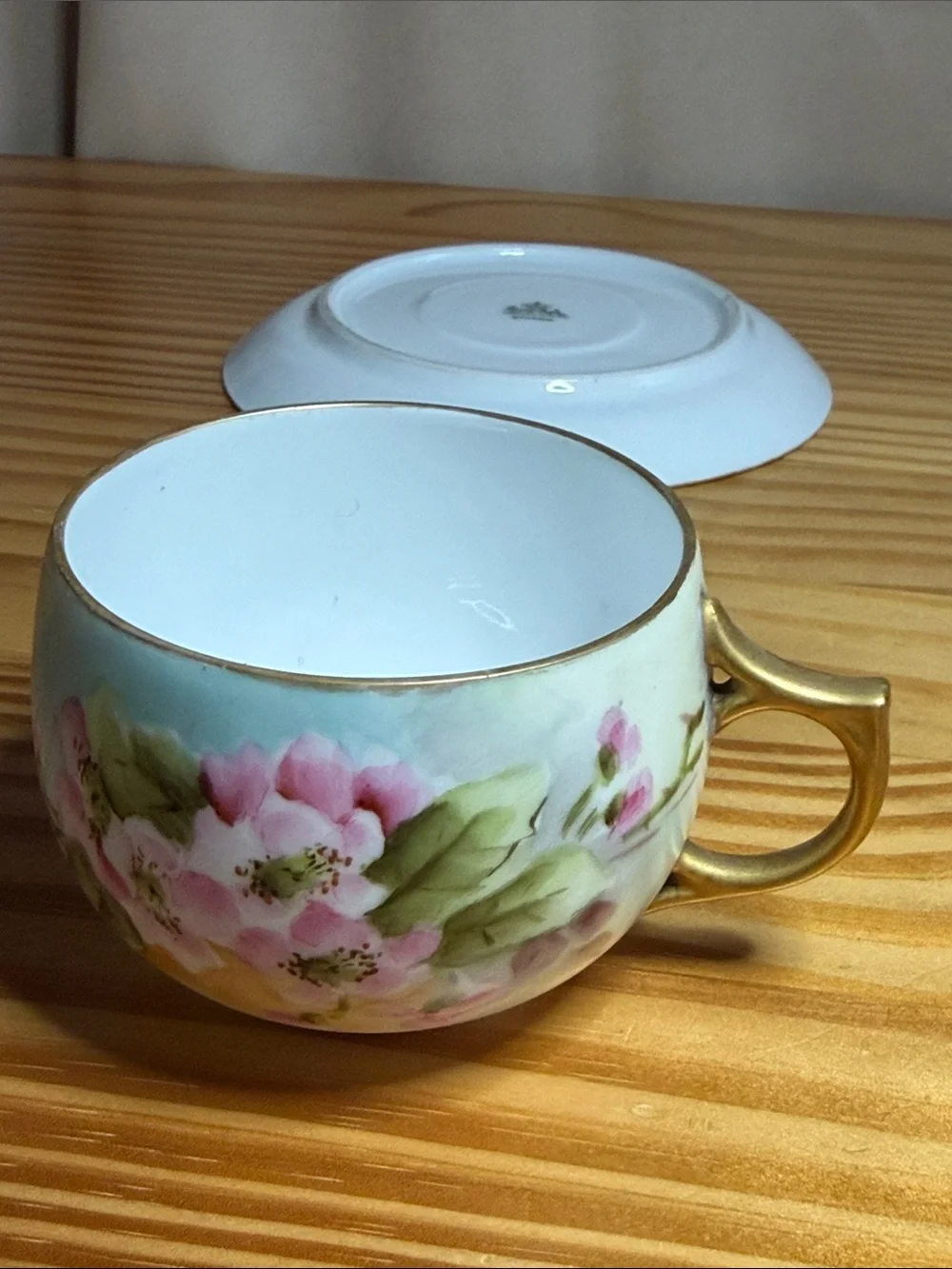 Antique Rosenthal Bavaria Hand Painted Teacup Saucer Set